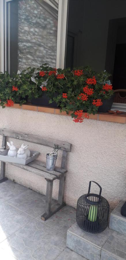 Cote Jardin Bed & Breakfast Périgueux Exterior foto